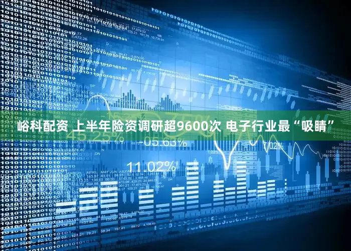 峪科配资 上半年险资调研超9600次 电子行业最“吸睛”