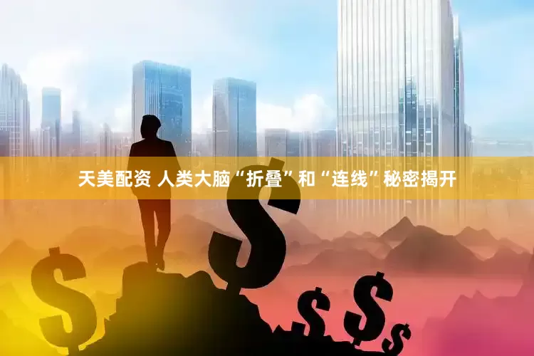 天美配资 人类大脑“折叠”和“连线”秘密揭开