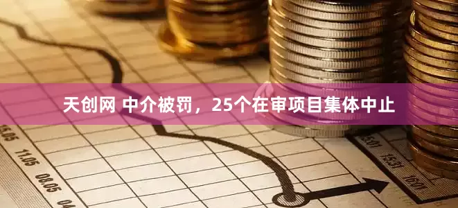 天创网 中介被罚，25个在审项目集体中止